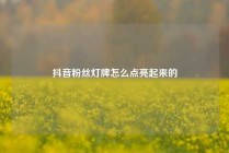 抖音粉丝灯牌怎么点亮起来的