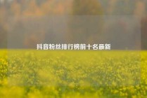 抖音粉丝排行榜前十名最新