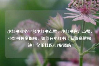 小红书业务平台小红书点赞，小红书官方点赞，小红书独家揭秘，如何在小红书上获得高赞秘诀！亿乐社区SUP货源站