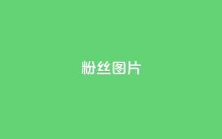粉丝图片 - 魅力粉丝图集展示各式精彩瞬间!