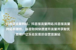 抖音涨流量网站，抖音涨流量网站,抖音涨流量网站有哪些，抖音如何快速提升流量并获取优质用户亿乐社区低价自营货源站