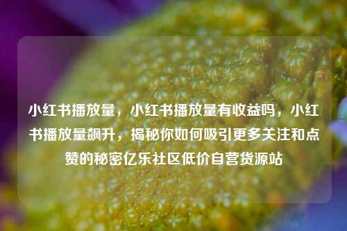 小红书播放量，小红书播放量有收益吗，小红书播放量飙升	，揭秘你如何吸引更多关注和点赞的秘密亿乐社区低价自营货源站  第1张