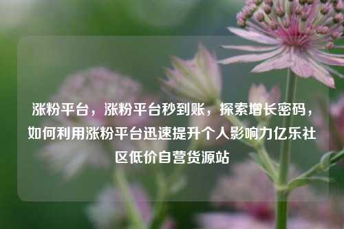 涨粉平台，涨粉平台秒到账，探索增长密码	，如何利用涨粉平台迅速提升个人影响力亿乐社区低价自营货源站  第1张