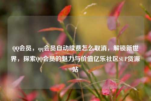 QQ会员，qq会员自动续费怎么取消	，解锁新世界，探索QQ会员的魅力与价值亿乐社区SUP货源站  第1张