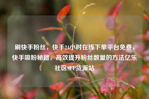 刷快手粉丝，快手24小时在线下单平台免费，快手吸粉秘籍，高效提升粉丝数量的方法亿乐社区SUP货源站  第1张