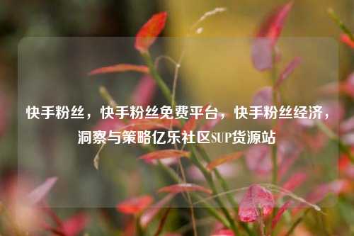 快手粉丝，快手粉丝免费平台，快手粉丝经济	，洞察与策略亿乐社区SUP货源站  第1张