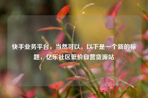 快手业务平台	，当然可以。以下是一个新的标题，亿乐社区低价自营货源站  第1张