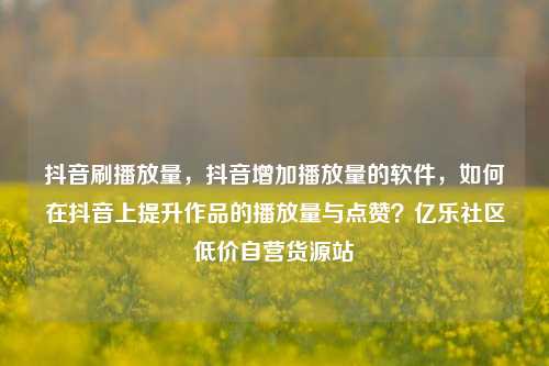抖音刷播放量，抖音增加播放量的软件	，如何在抖音上提升作品的播放量与点赞？亿乐社区低价自营货源站  第1张