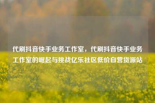 代刷抖音快手业务工作室，代刷抖音快手业务工作室的崛起与挑战亿乐社区低价自营货源站  第1张
