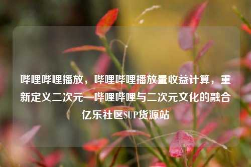 哔哩哔哩播放	，哔哩哔哩播放量收益计算，重新定义二次元—哔哩哔哩与二次元文化的融合亿乐社区SUP货源站  第1张