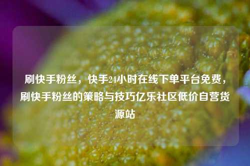 刷快手粉丝，快手24小时在线下单平台免费，刷快手粉丝的策略与技巧亿乐社区低价自营货源站  第1张