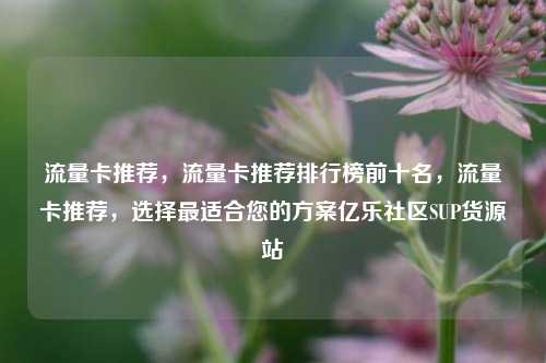 流量卡推荐，流量卡推荐排行榜前十名，流量卡推荐	，选择最适合您的方案亿乐社区SUP货源站  第1张