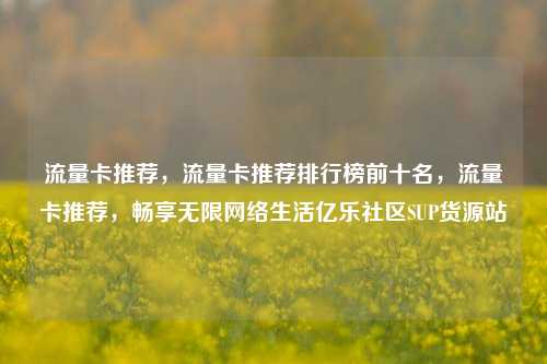 流量卡推荐，流量卡推荐排行榜前十名，流量卡推荐，畅享无限网络生活亿乐社区SUP货源站  第1张