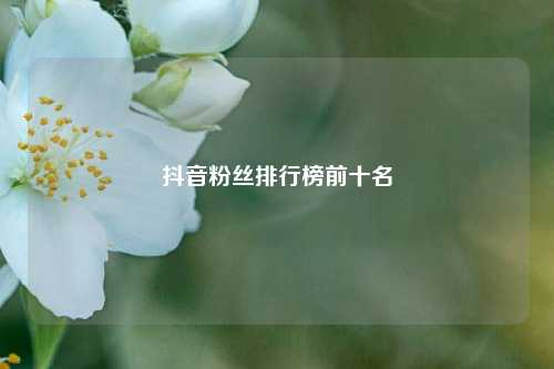 抖音粉丝排行榜前十名  第1张