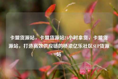 卡盟货源站，卡盟货源站24小时拿货，卡盟货源站	，打造高效供应链的桥梁亿乐社区SUP货源站  第1张