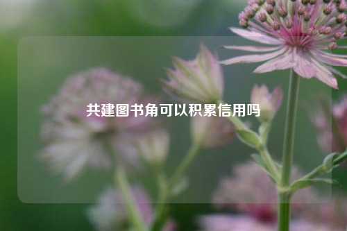 共建图书角可以积累信用吗  第1张