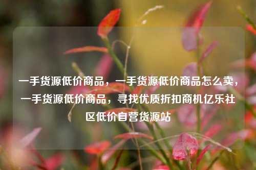 一手货源低价商品	，一手货源低价商品怎么卖，一手货源低价商品，寻找优质折扣商机亿乐社区低价自营货源站  第1张
